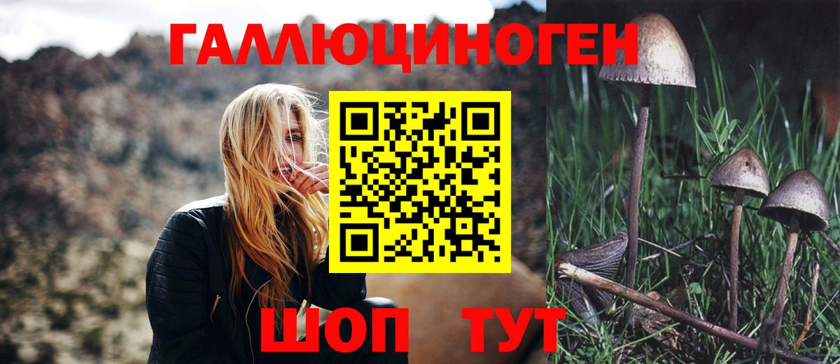 Галлюциногенные грибы Psilocybe  Вход с VPN  Галлюциногенные грибы мицелий  Чебоксары 